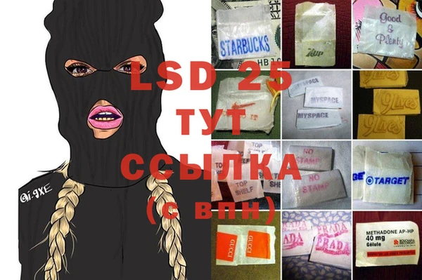 ПСИЛОЦИБИНОВЫЕ ГРИБЫ Медвежьегорск