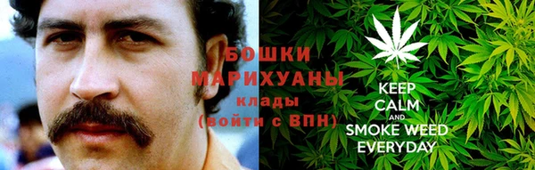 ПСИЛОЦИБИНОВЫЕ ГРИБЫ Медвежьегорск