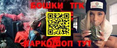 spice Дубна