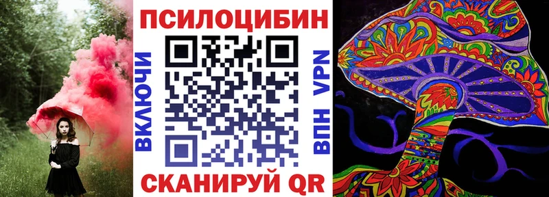 площадка телеграм Камышлов Псилоцибиновые грибы мухоморы ОМГ ОМГ ссылка