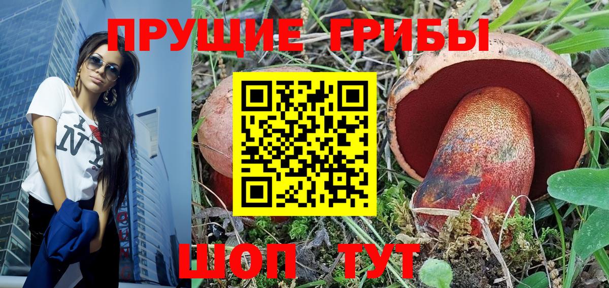 Псилоцибиновые грибы MAGIC MUSHROOMS  Вход с VPN  Псилоцибиновые грибы MAGIC MUSHROOMS  Камышлов 