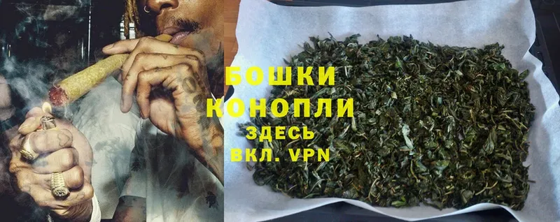 Бошки Шишки THC 21%  Камышлов 